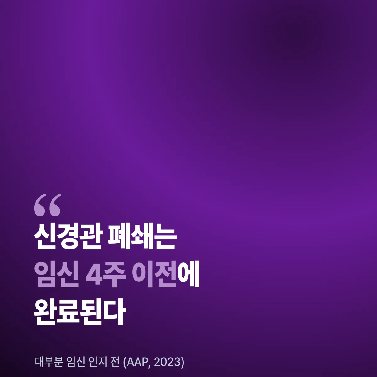 임신 중 엽산 보충제와 엽산 풍부 식품 조합 임신 영양소 관리 가이드